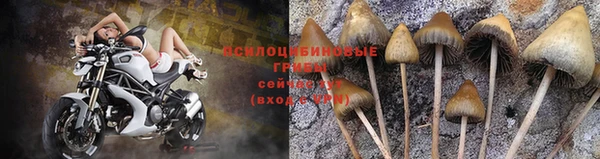 бошки Алзамай