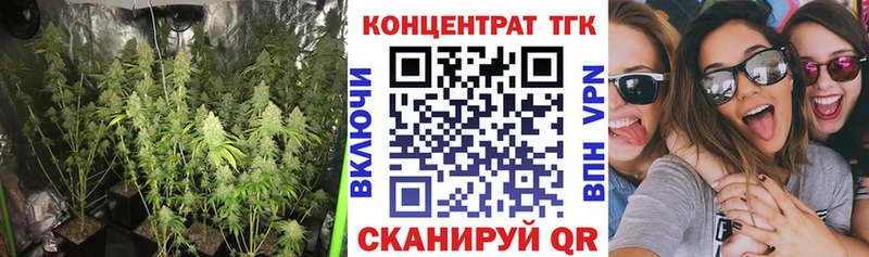ТГК концентрат  Фурманов 